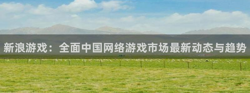 多彩娱乐平台负责人：新浪游戏：全面中国网络游戏市场最新动态与