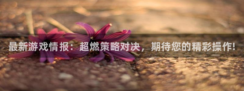 多彩娱乐注册登录：最新游戏情报：超燃策略对决，期待您的精彩操