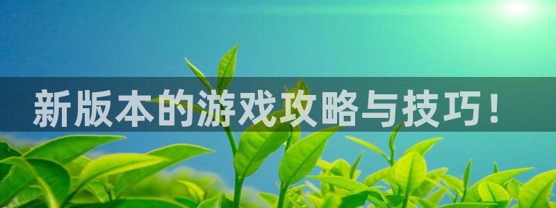 多彩娱乐代理登陆：新版本的游戏攻略与技巧！