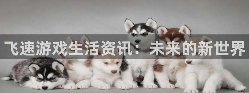 多彩娱乐app下载地址：飞速游戏生活资讯：未来的新世界