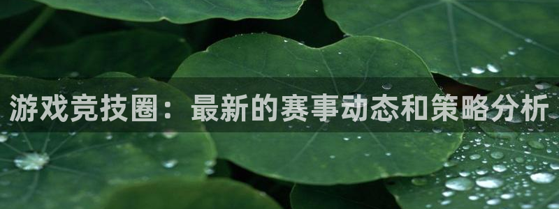 多彩娱乐测速：游戏竞技圈：最新的赛事动态和策略分析