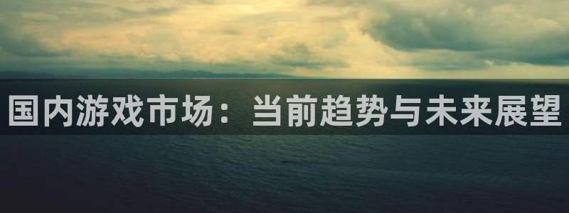 多彩娱乐app下载地址：国内游戏市场：当前趋势与未来展望