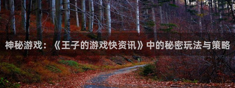 多彩娱乐登录：神秘游戏：《王子的游戏快资讯》中的秘密玩法与策