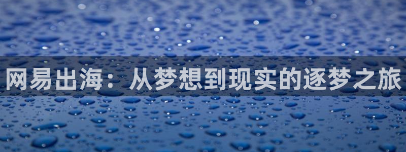 手机多彩娱乐下载安装：网易出海：从梦想到现实的逐梦之旅