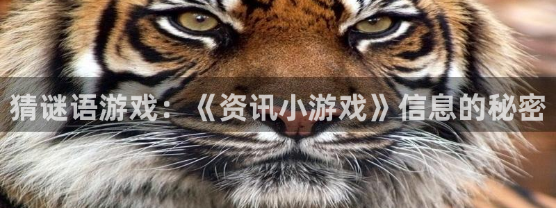 多彩娱乐注册服务条款：猜谜语游戏：《资讯小游戏》信息的秘密