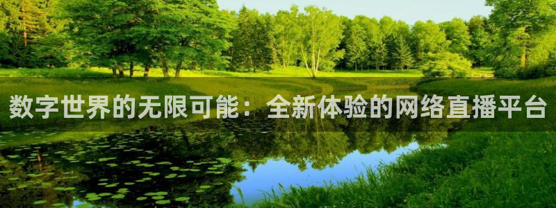 雨燕免费直播体育