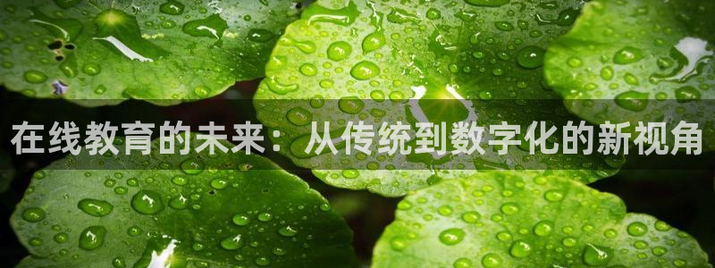 雨燕直播体育免费观看