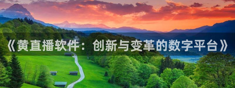 雨燕官网体育直播：《黄直播软件：创新与变革的数字平台》